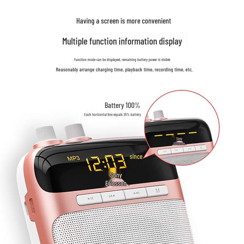 Soaiy S318/S318PRO Portable Bluetooth Amplifier