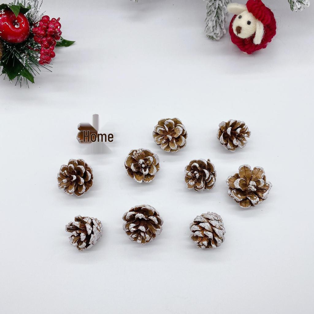 Natural Dried Pine Cones for Christmas Tree Decoration, Photography Props, Floral Wreaths, and Bouquets.