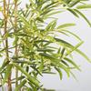 Nordic Decorative Bamboo Partition with Artificial Greenery for Mall Display