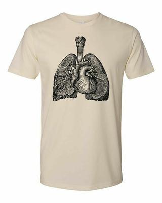 Коттедж Cult Clothing Футболка Хлопок Медицинская Анатомия Викторианское Искусство Легкие #4