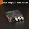 XY-T1001P Single Channel 100W High Power Bluetooth Audio Amplifier Board Module TPA3116 DC 12-24V Amplifier Module Support TWS