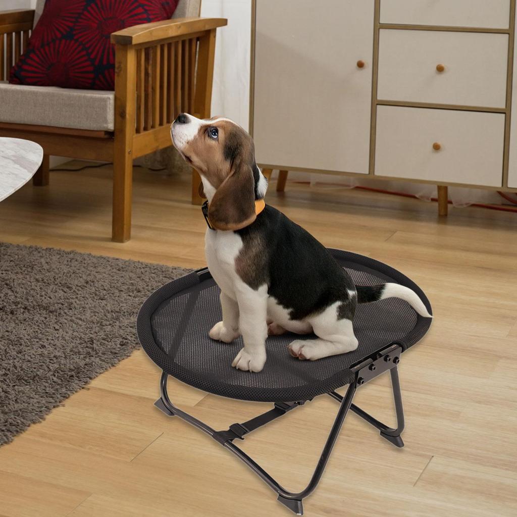 Dog Cot Elevated Iron Frame Travel Portable Pet Furniture Bed for Cats and Small Dogs