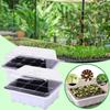 Indoor Propagation Box Greenhouse Propagation Set Tray With Lid And Ventilation