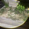 10000 люмен супер яркий светодиодный фонарик дальнего действия уличный водонепроницаемый фонарик для кемпинга фонарь