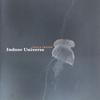 CD ПАУЛА ФРЕЙЗЕР - Indoor Universe GEL4026 Birdman Records 2001 Великобритания Рок Б/у