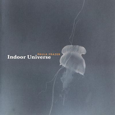 CD ПАУЛА ФРЕЙЗЕР - Indoor Universe GEL4026 Birdman Records 2001 Великобритания Рок Б/у