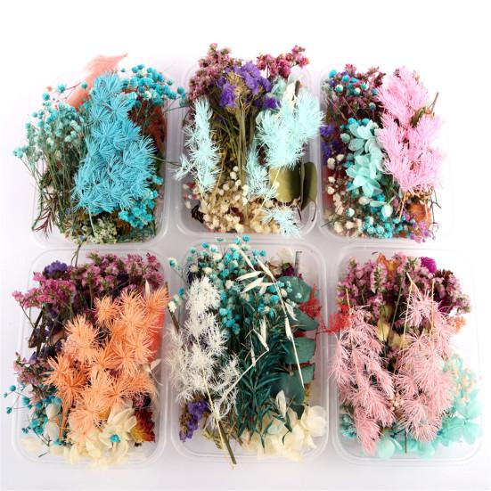 Real Dried Flower Material Plant Specimen Making Scrapbook Crafts Accessories