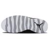 Jordan 10 Ретро Стелс 2012 310805-003