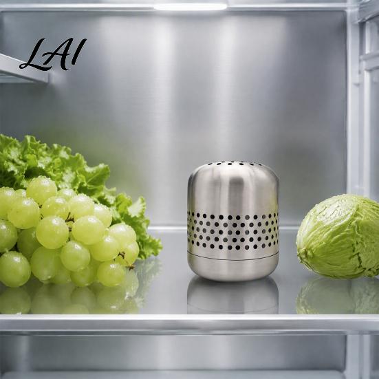Reusable Freezer Deodorizer Stainless Steel Refrigerator Deodorizer Long-Lasting Odor Eliminator Nano-Catalytic Eliminator Removal Tool for Kitchen