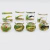 62KD Exquisite Mini Glass Fish Aquarium Scene Model for Dollhouse Collectors
