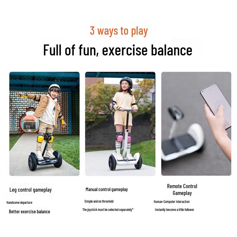 Xiaomi Ninebot LS2 Self-Balancing Scooter (CN version)