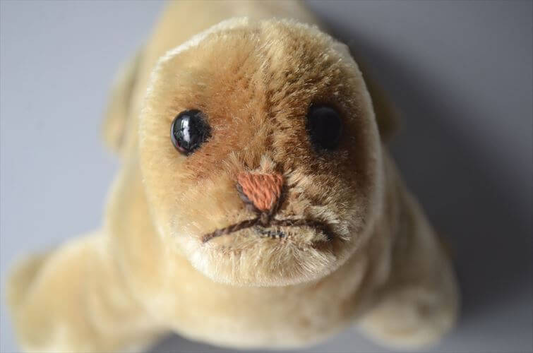 Steiff Robby Seal plush Steiff 1954-1974 German-made toy, doll/figurine, antique/vintage_ig4664