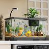 Fish Tank with Lid - Transparent Desktop Aquarium for Goldfish and Turtles, Perfect for Home or Living Room Decor.