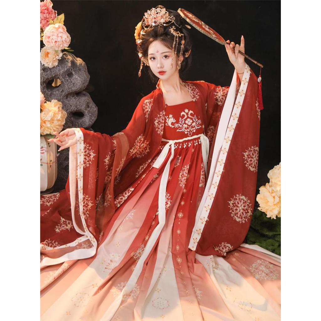 Chinese Tang Dynasty Style HE ZI Dress Hanfu Women's Suit Embroidered Daily Suit