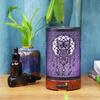 Owl Iron Art Aroma Diffuser with Silent Humidifier & Colorful Night Light