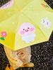 Kakao Friends Базовый автоматический зонт-трость с 3 сложениями_Little Apeach