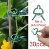 30 шт. Зеленые зажимы для растений для помидоров, цветов – Садовые поддерживающие зажимы Пластик