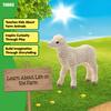 Schleich Farm World Sheep Ages Realistic Farm Animal Toy 13883N (Baby) Figure, 3+,