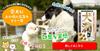 Inujun Set Pet Supplements for Set Pet Supplements for Dogs 1kg stick type 1g x 33 bottles for (Also cats) (Inujun + [Also cats])