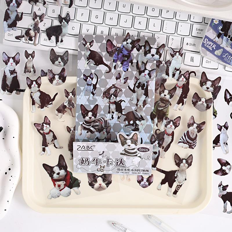 6 pcs Cute PET cat theme PET sticker bag handbag decoration stickers diy handbook material paper Scrapbooking Material