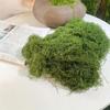 100G Realistic Artificial Moss For Diy Crafts & Home Decor - Everlasting Green Plant Accent, Perfect For Indoor Landscapes & Wedding Decorations