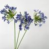 Artificial Agapanthus Flower Stem Likelike for Wedding Decor Home Wedding Centerpiece Arrangement Floral Display White Purple
