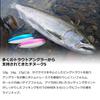 DAIWA Spoon Chinook S 17S Diamond GR