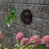 Hollowed Planting Cover Plastic Floral Hole Cover Plants Soil Protector Cover  Horticultural