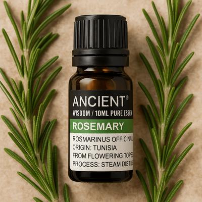 3x Rosemary Essential Oil Steam Distilled, 10 Ml