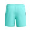 Speedo Mens Essentials Swim Shorts