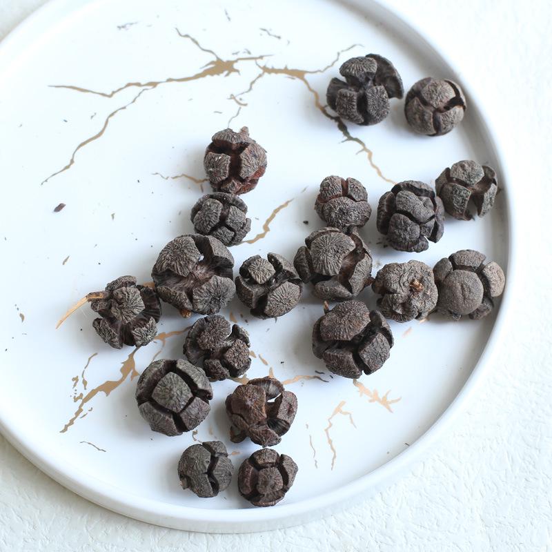 Dried Real Flowers & Materials: Pine Cones, Acorns, Cotton, Adhesives, Sunflowers - DIY Scented Floral Decor & Photography Props
