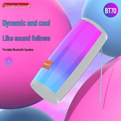 Портативная Bluetooth-колонка Newmine BT70, штекер CN (адаптер в комплекте)