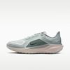 Air Zoom Pegasus 41 Gore-Tex Светлый пемзовый Металлический серебристый