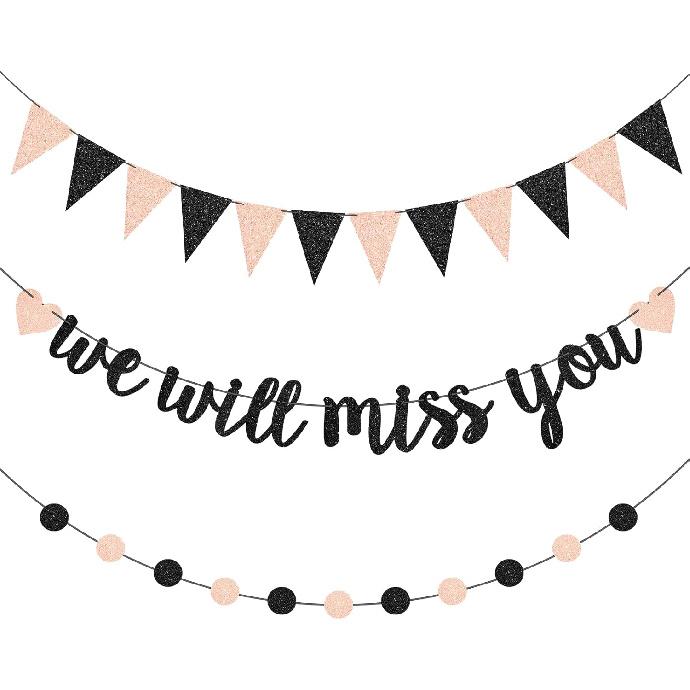 Boao 3 Pieces We Will Miss You Going Away Farewell Banner Decoration Dot Circle Garland Triangle Flag Banner for Retirement Graduation Going Away