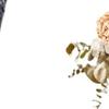 Хэллоуинская ацтекская свистулька смерти со странным звуком Клюв вороны Свистулька смерти Громкая свистулька смерти Украшение для нанесения