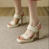 Fashion Sandals Women Fashion Buckle Strap 2025 Comfortable Summer High Heeled Roman Sandal Woman Open Toe Square Heel Thick Heel Shoes