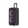 Портативная уличная колонка F&D PA300 с двумя микрофонами, штекер CN (адаптер в комплекте)