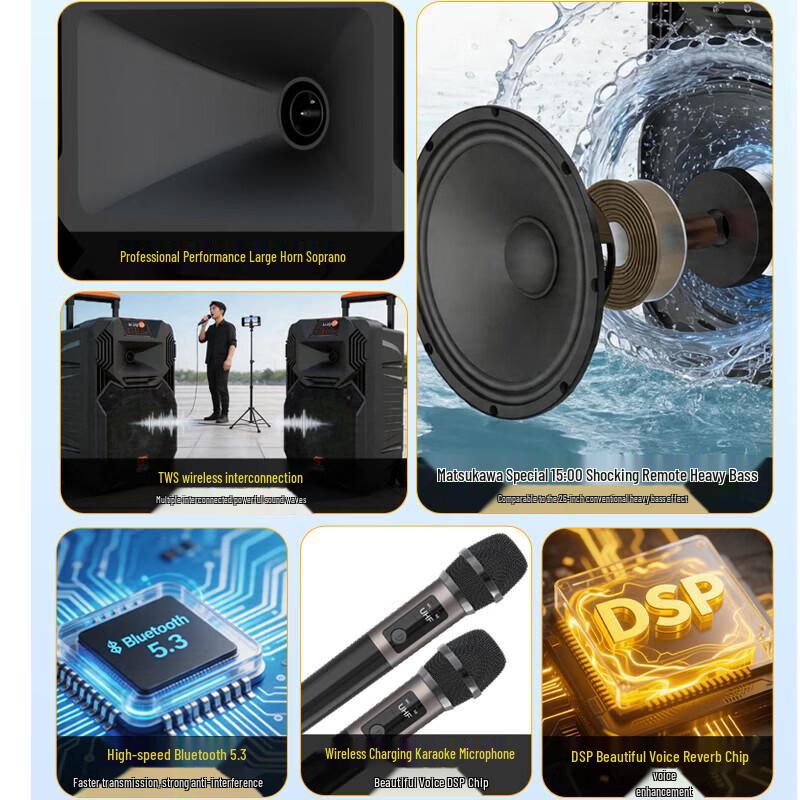Songchuan SS1 12-inch Portable Outdoor Karaoke Speaker with Dual Wireless Mics (CN version)