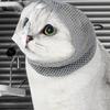 Kitten Anti-bite Headgear Cat Anti Bite Muzzles Breathable Cat Travel Tools  Pet Supplies