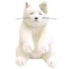 Коллекция товаров Ghibli: Мута, дружелюбный мячик для жонглирования