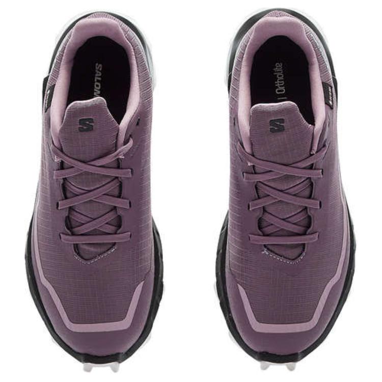 Женские кроссовки Alphacross 5 Wmns Salomon GORE-TEX 'Moonscape' Женские