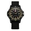 Luminox Sea Turtle Giant Men S Nato Watch xS.0333
