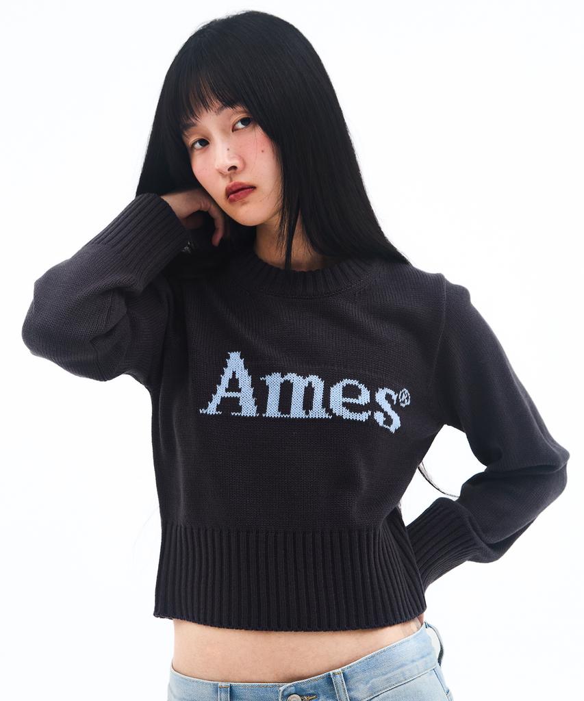 AMES-WORLDWIDE Basic Pullover Knit Charcoal