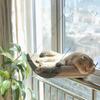 Гамак Кровать для Кошки Безопасность Питомца Кошка Оконные Лежанки Питомцы Котёнок Кошки Маты для Сна Гнездо Гамак Дом для Кошек Аксессуары Товары Продукт