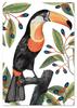 Toucan In Leaves Poster