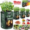 Potato Grow Bags PE Vegetable Planter Growing Bag DIY Fabric Grow Pot Outdoor Garden Pots Garden Tool
