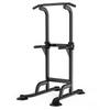 Longchan Multifunctional Home Pull-up & Dip Station