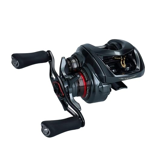 DAIWA Baitcasting Reel 19 STEEZ CT SV TW 700SH (2019 Model)