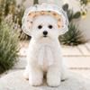 Летняя коллекция бейсбольных кепок PETCIRCLE для собак и кошек