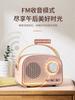 Портативная Bluetooth-колонка в ретро-стиле, Мини-аудиосистема для рабочего стола с воспроизведением через USB и TF-карту, Легкая для путешествий и офиса